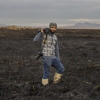 Портрет фотографа (аватар) Mehrdad (mehrdad)