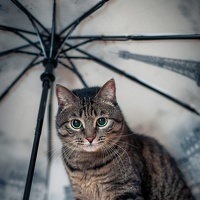 Портрет фотографа (аватар) Михаэль (Mikhael)